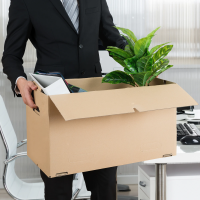 01 entlassung kuendigung kiste pflanze umzug 0052 200