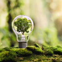 01 energie umwelt gluehbirne 0363 200